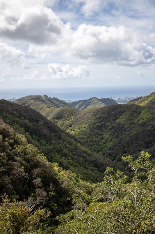 <wiliwilinui Ridge Trail O'ahu Hawai'i