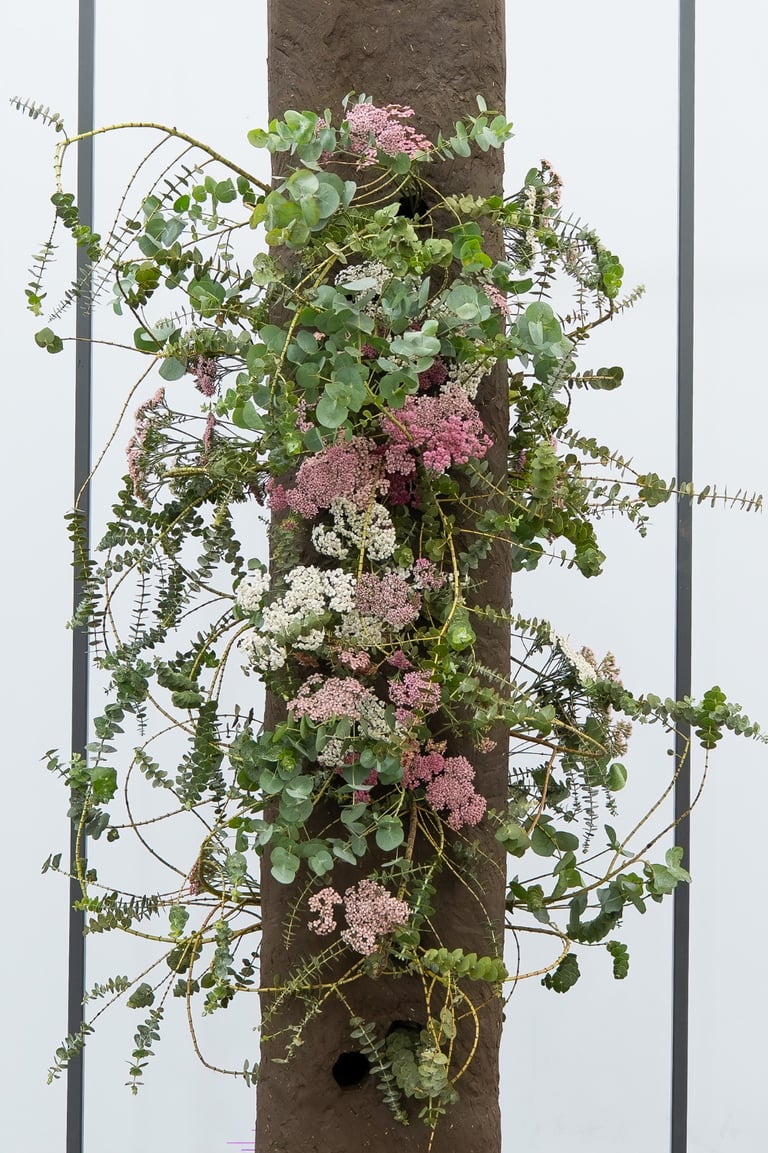 RHS Chelsea Flower Shower - Hedy Leung