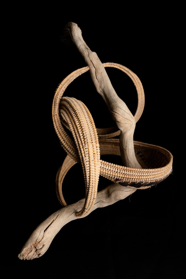 The Nix, 2024, cane, reed, driftwood, framboyan pods