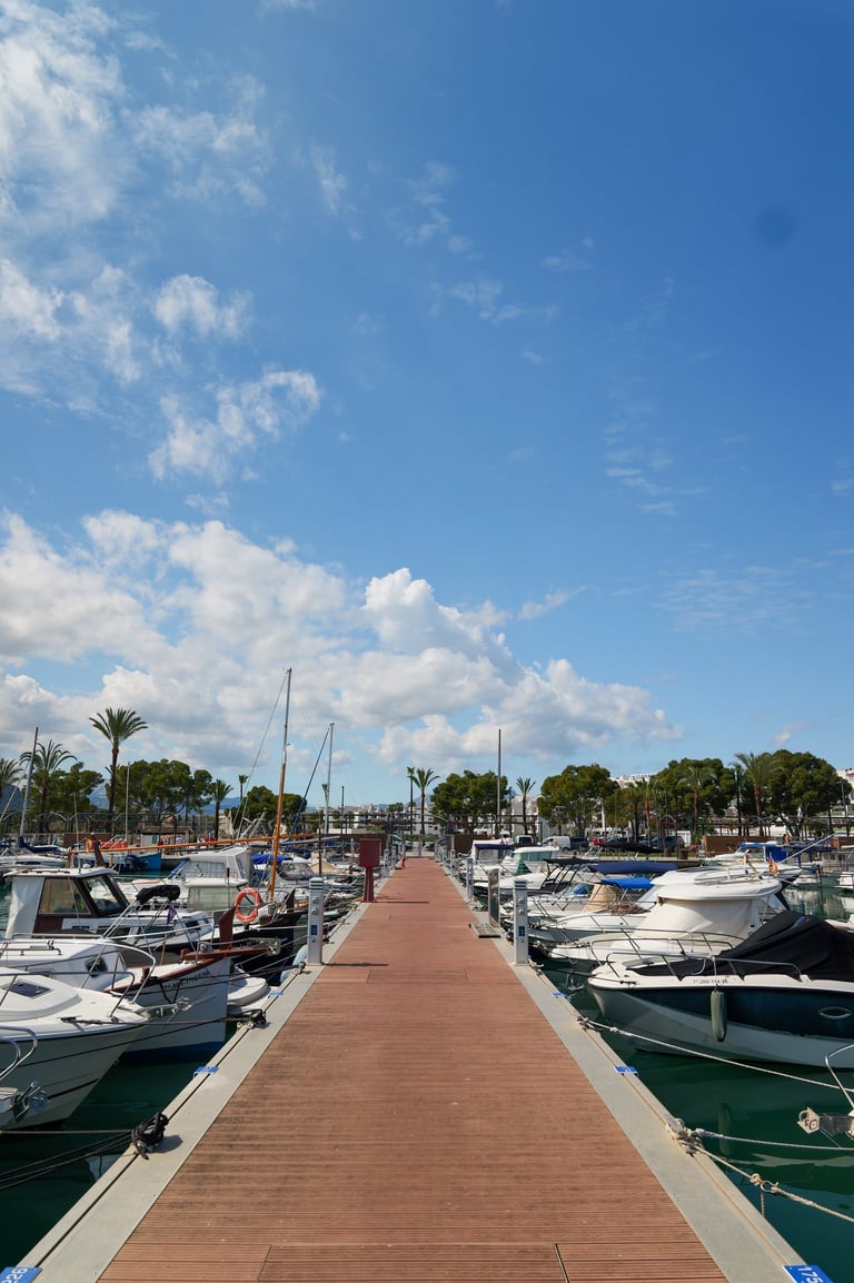 Puerto de Alcudia con barcos de lujo - punto de salida de excursiones privadas