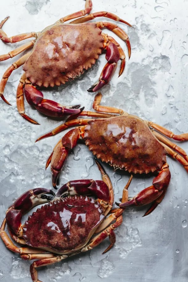 vietnamese crab supplier