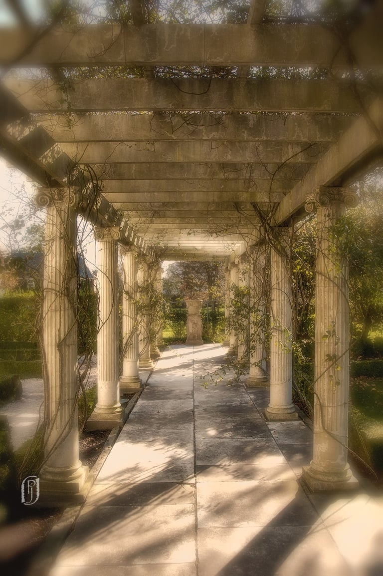 Photo of vine covered columns in garden
