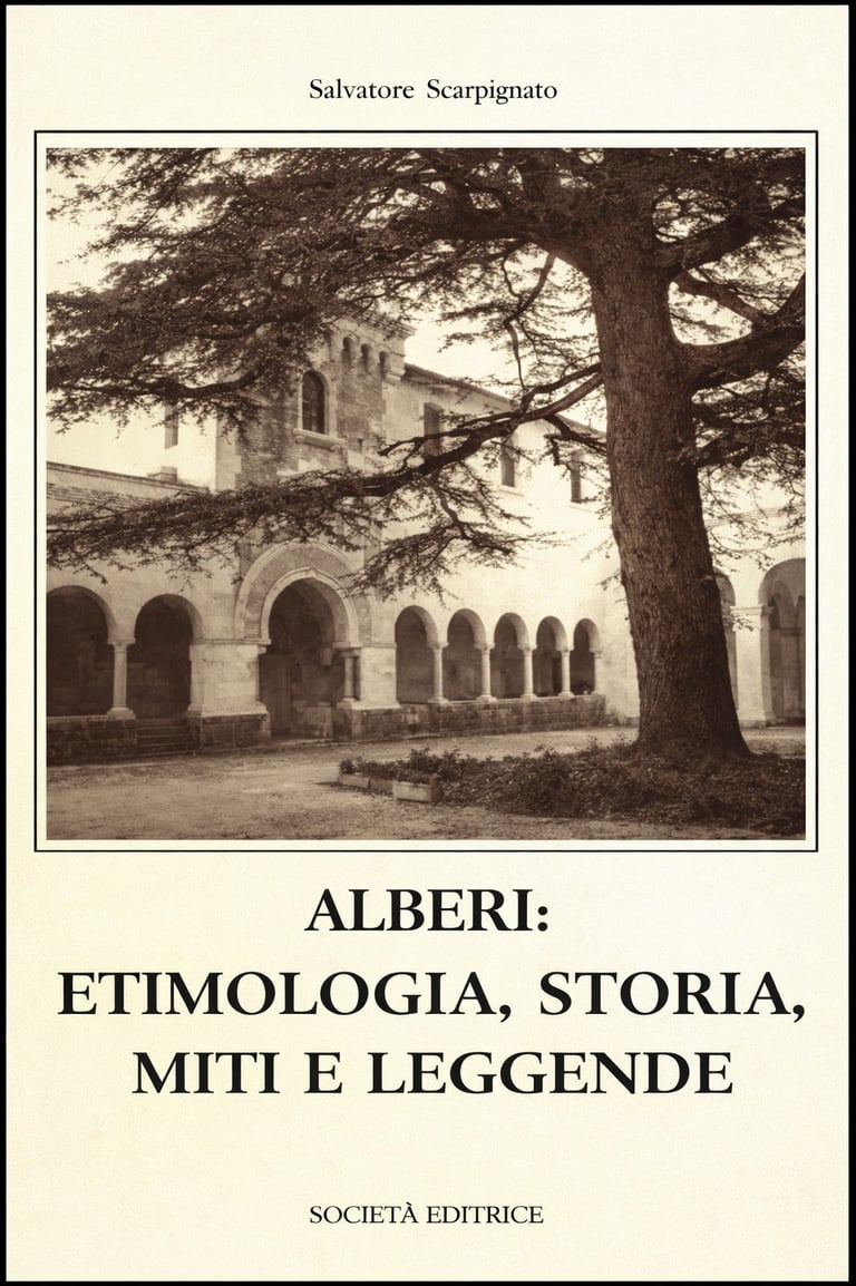 a book cover of albertia stoica's novel, albertia,
