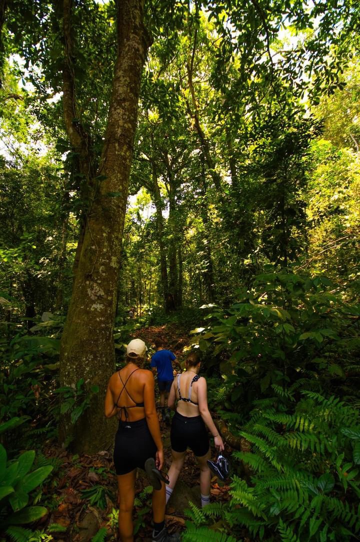 Trekking in the Sierra Nevada