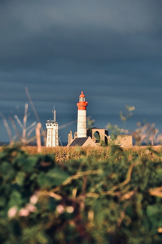 Lumière matinale sur le phare de Saint-Mathieu