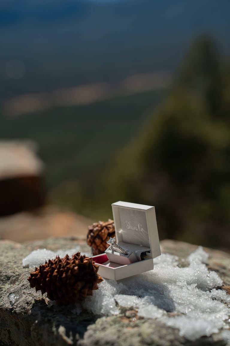 a ring bearer box with a ring on top of a rock