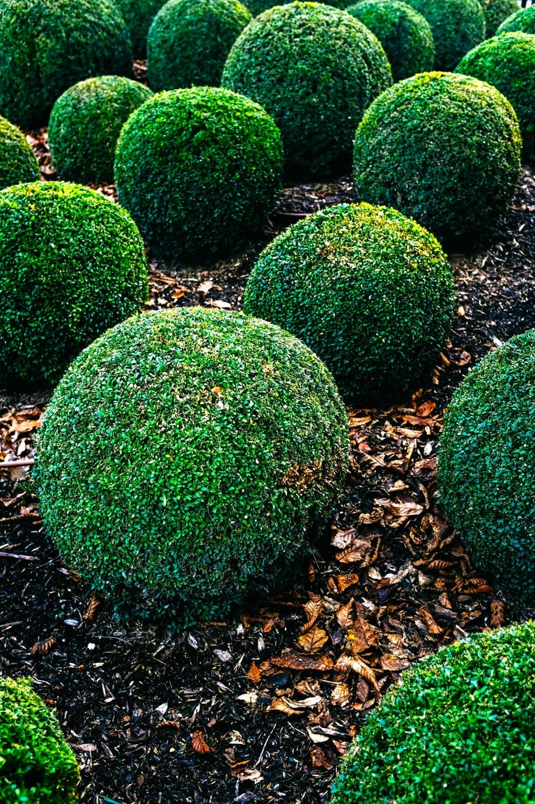 Company that trims bushes
