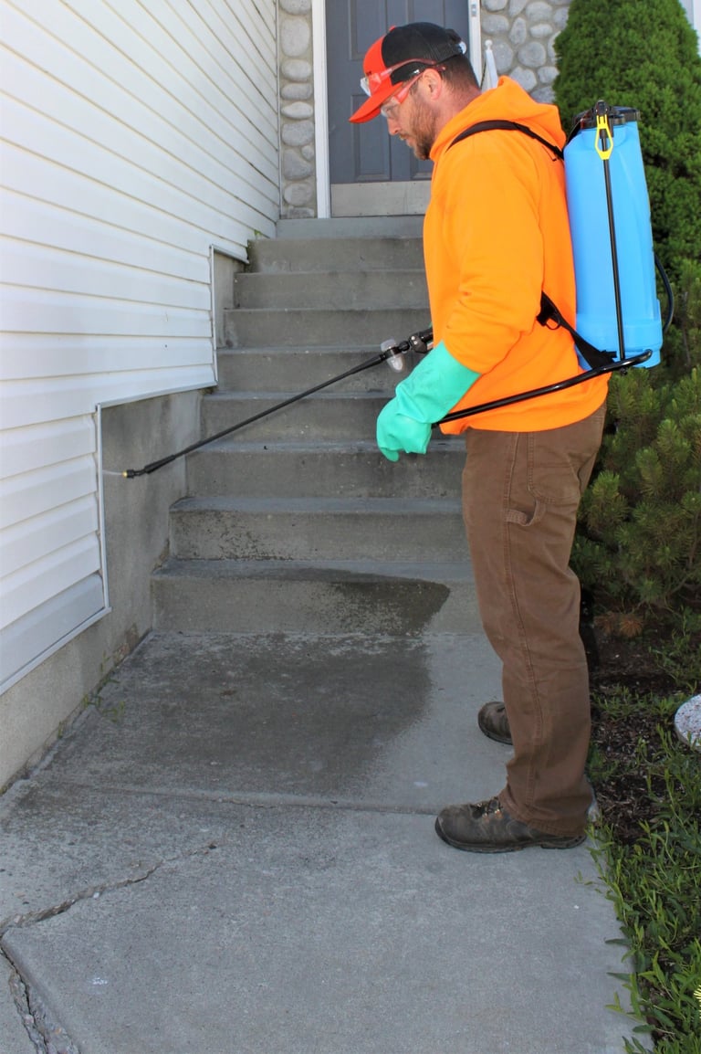 how to keep bugs out of house