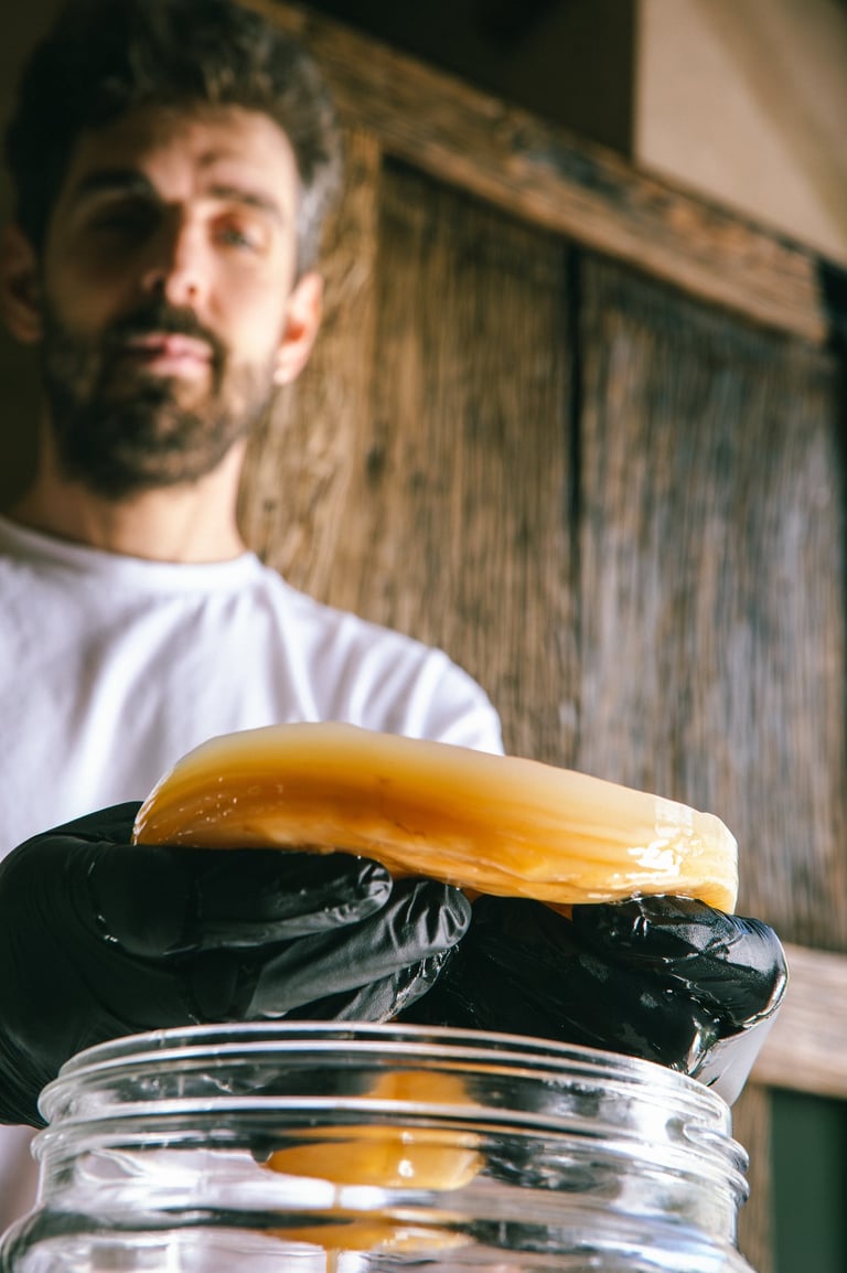 kombucha artigianale siciliana