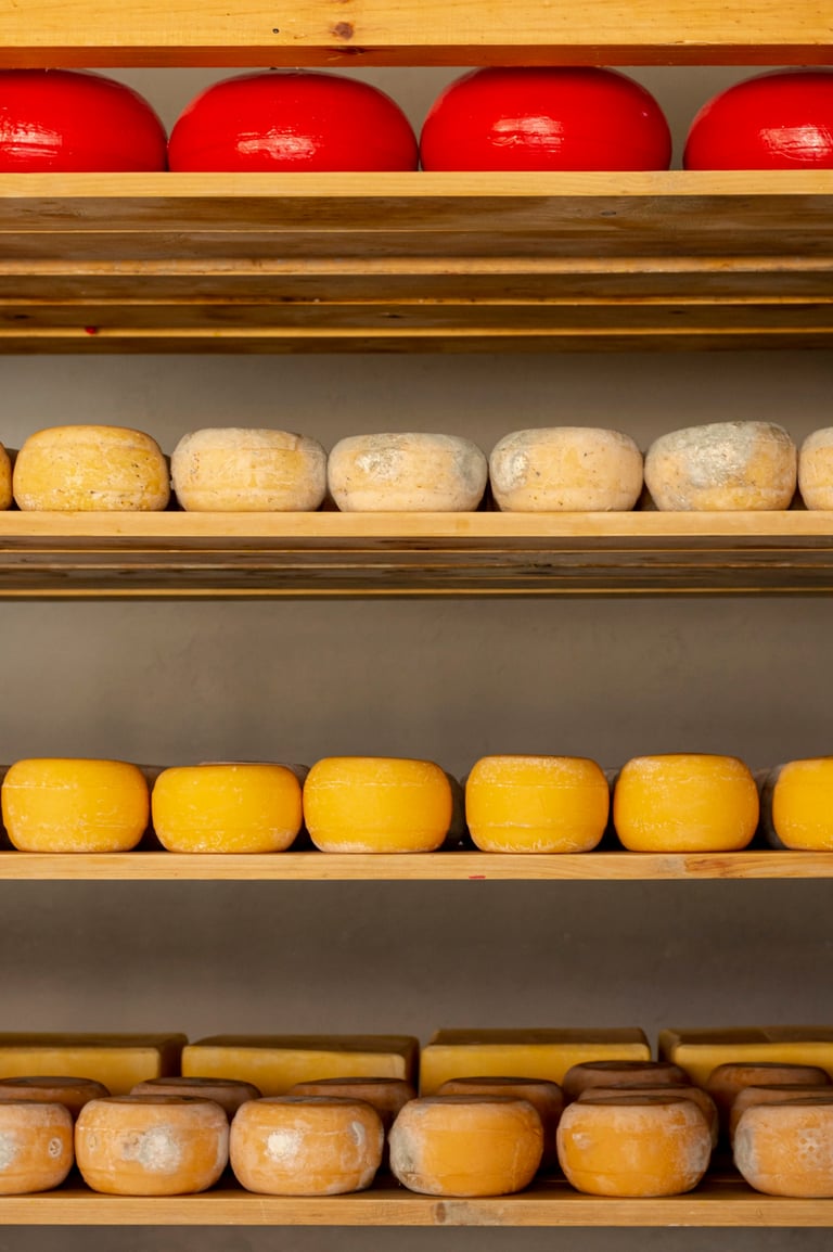 cheese types in cool room on the shelves 