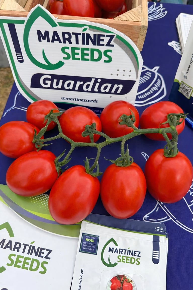 Guardian de Martinez Seeds