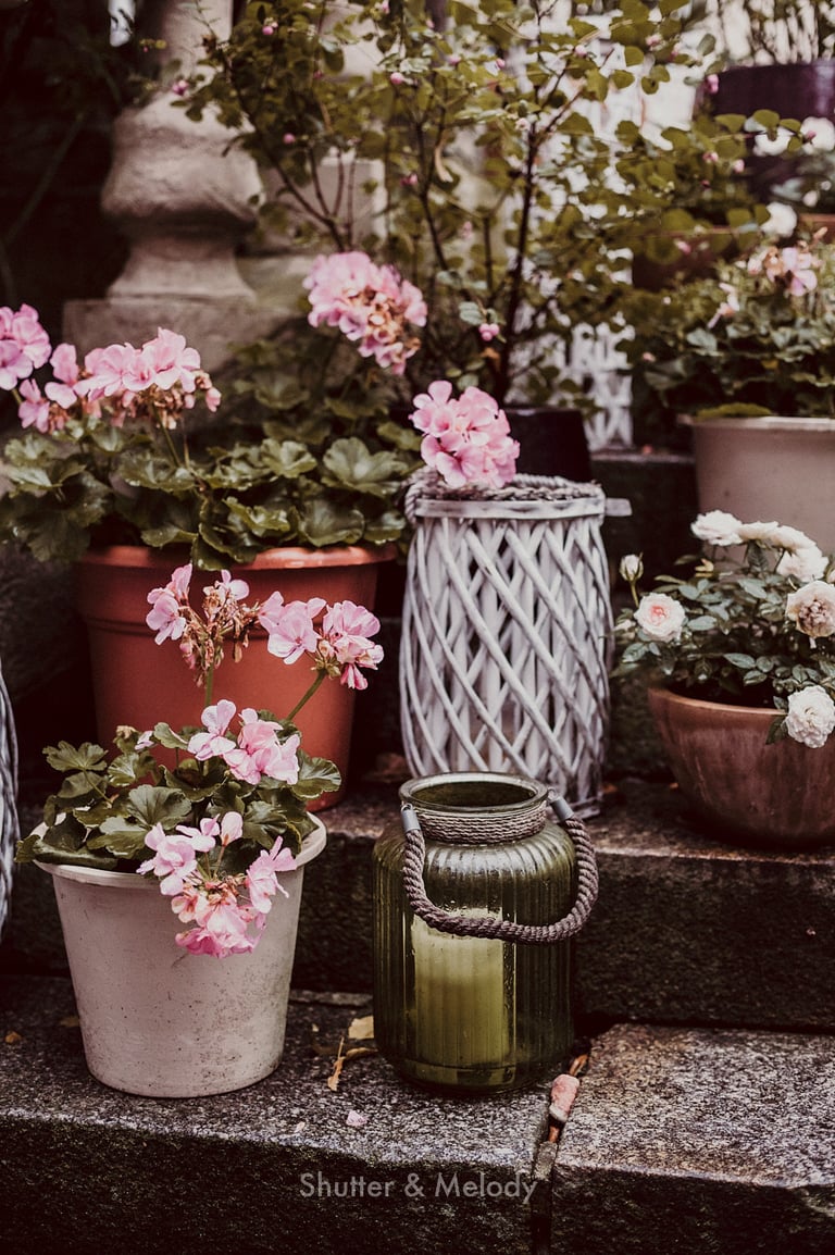 Various pots of flowers and a glass candle on steps.
