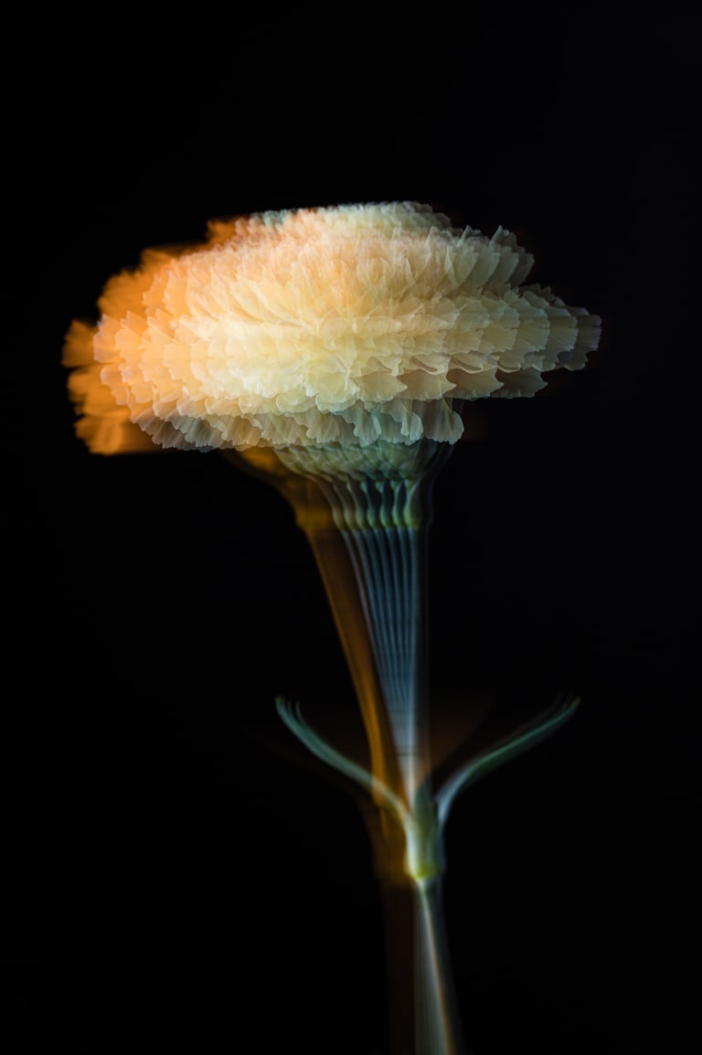 Photosynthetische Skulpturen 2022 NR1