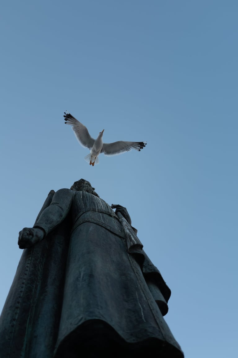 Low‑angle view of a statue with a seagull overhead against a clear sky, By ACAT Photos