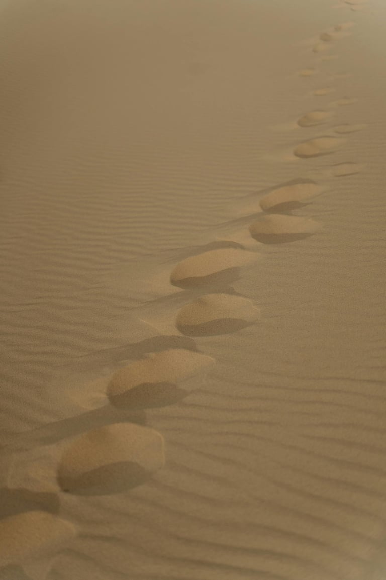 séance hypnothérapie adulte 