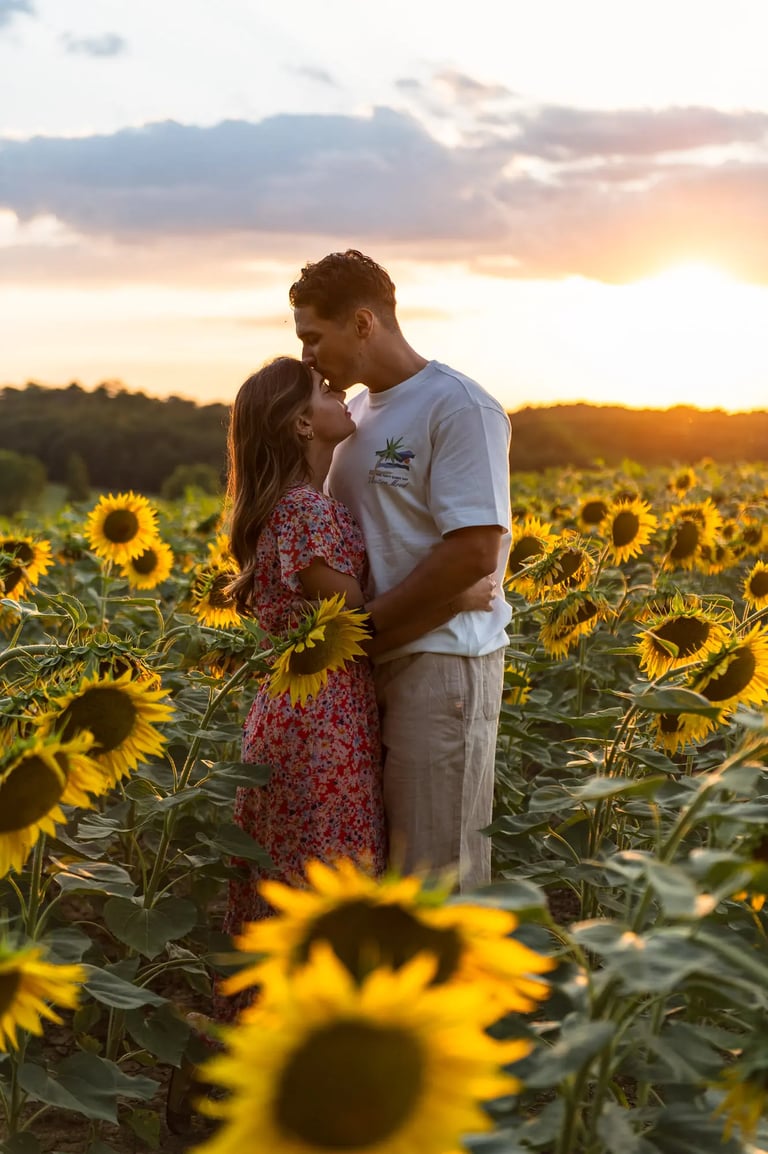 séance photo couple dans champs de tournesols au coucher du soleil près de toulouse