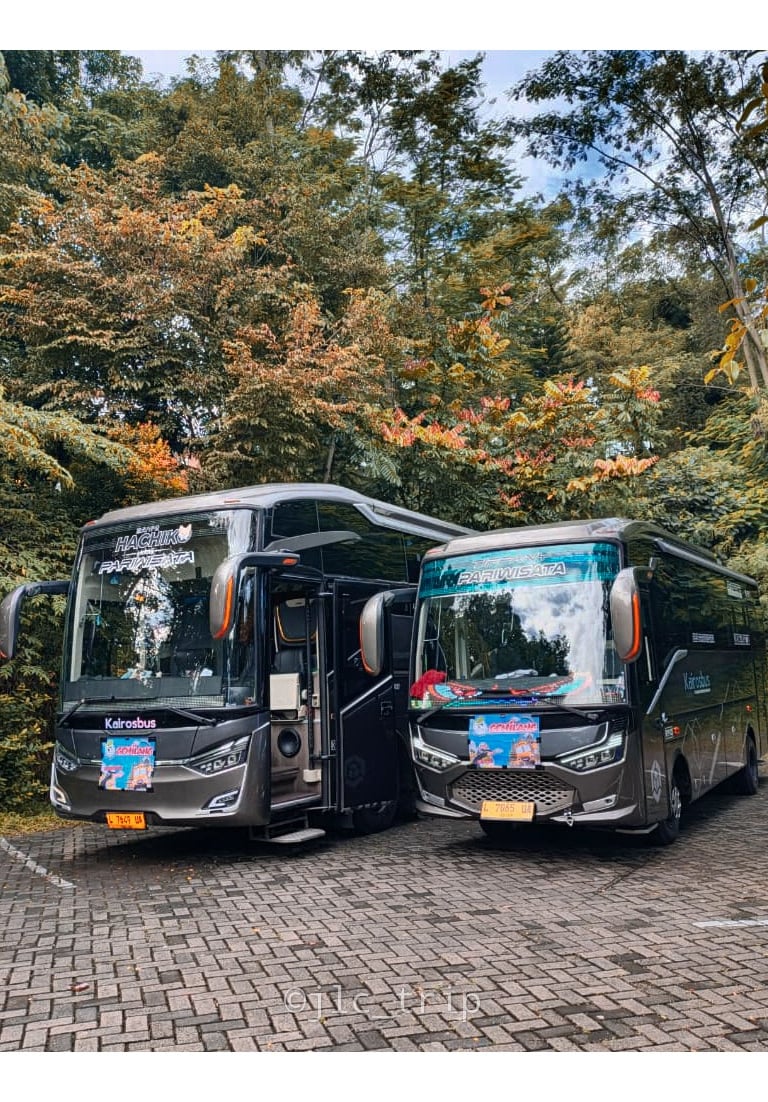harga bus