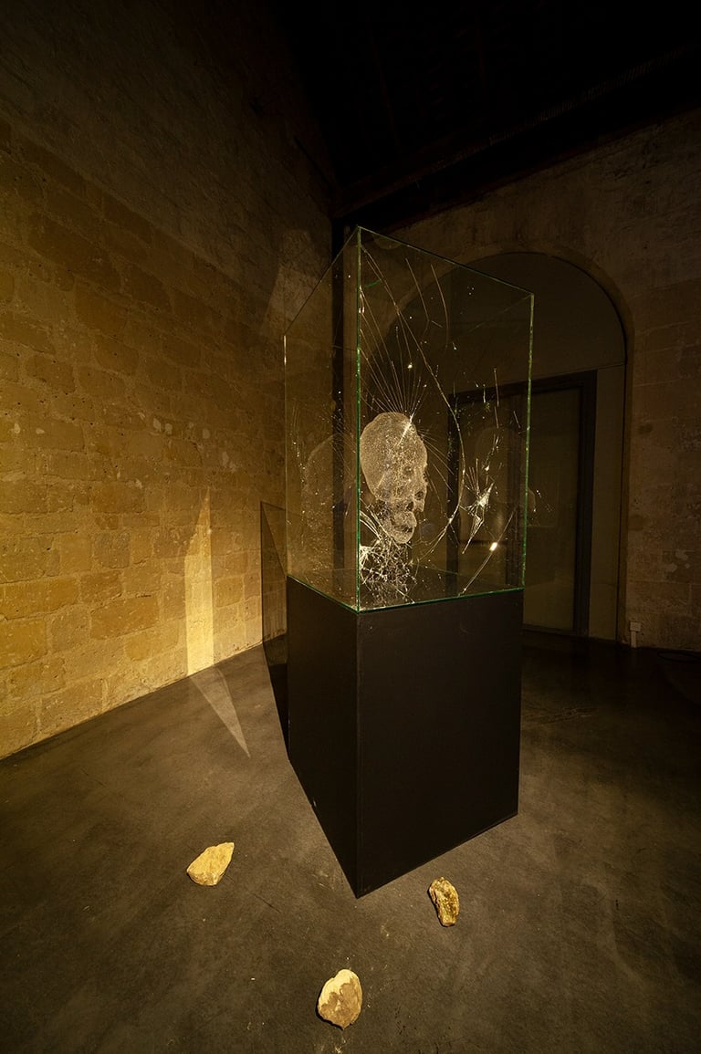 a glass sculpture of a skull in a broken glass case