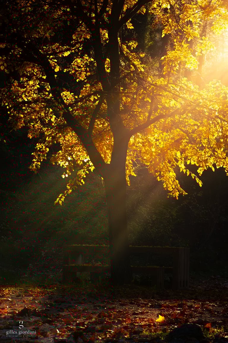 Photographie paysage en Vaucluse par Gilles Giordani