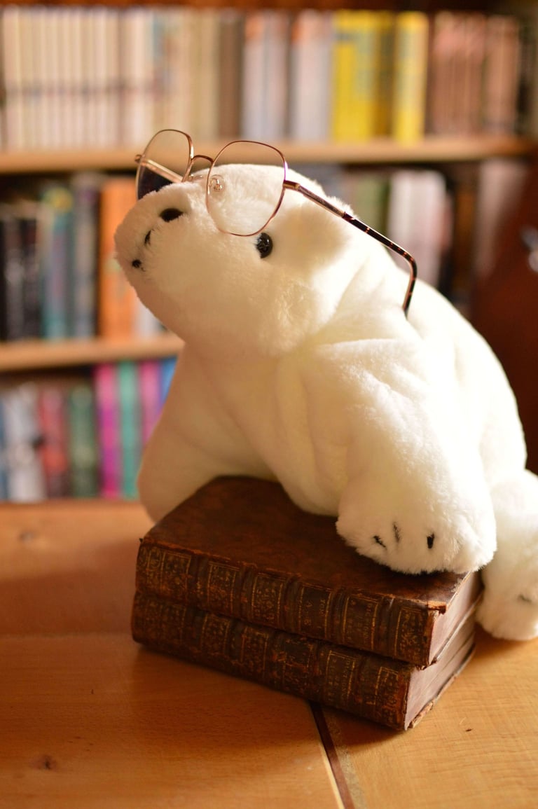 Histoire ours en peluche