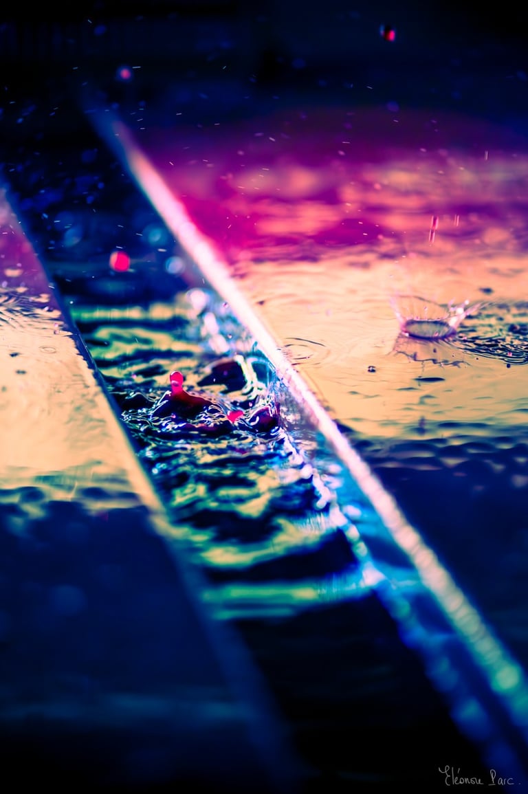 Surface vibrante du pressoir, vinification captée comme un rituel d’alchimiste.