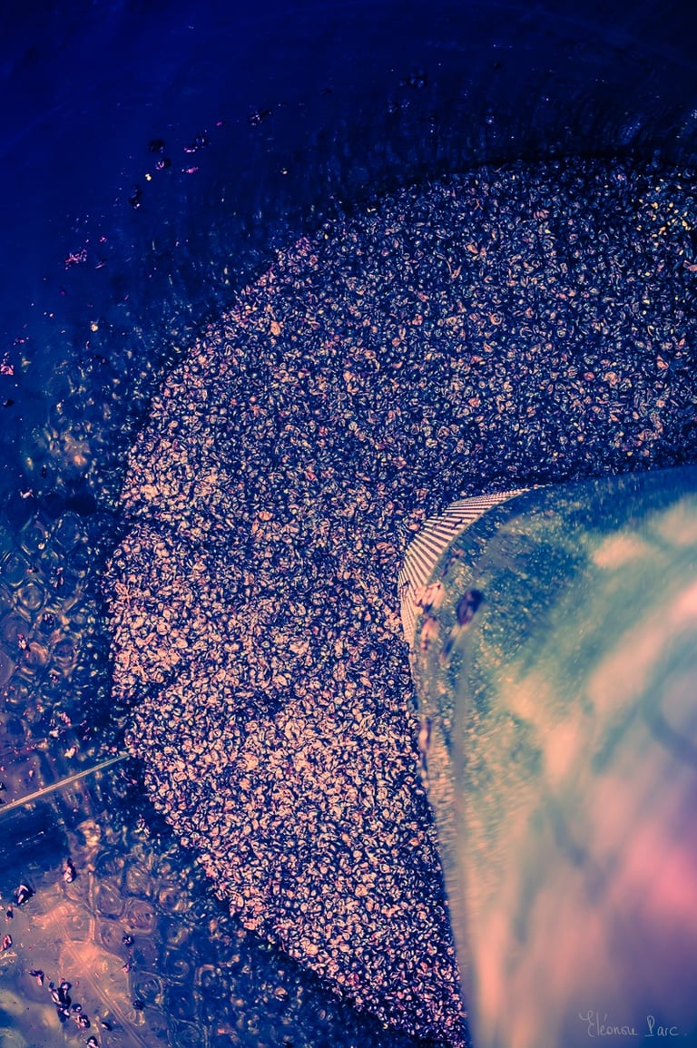 Matière de baies du vin dans la cuve, photographie abstraite aux couleurs cosmiques.