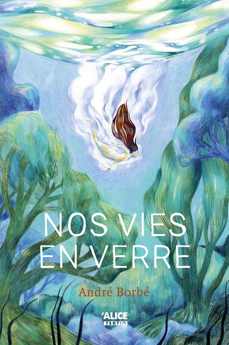 Première de couverture du roman Nos vies en verre d'André Borbé