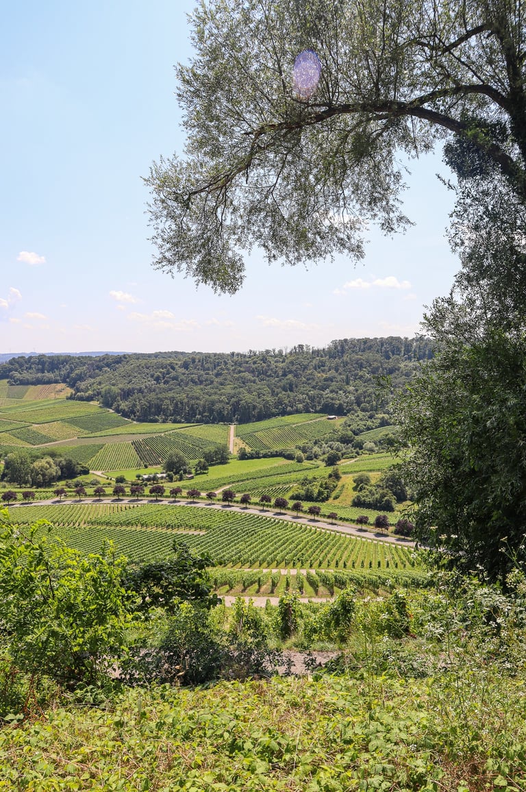 Wellenstein viewpoint Moselle Luxembourg