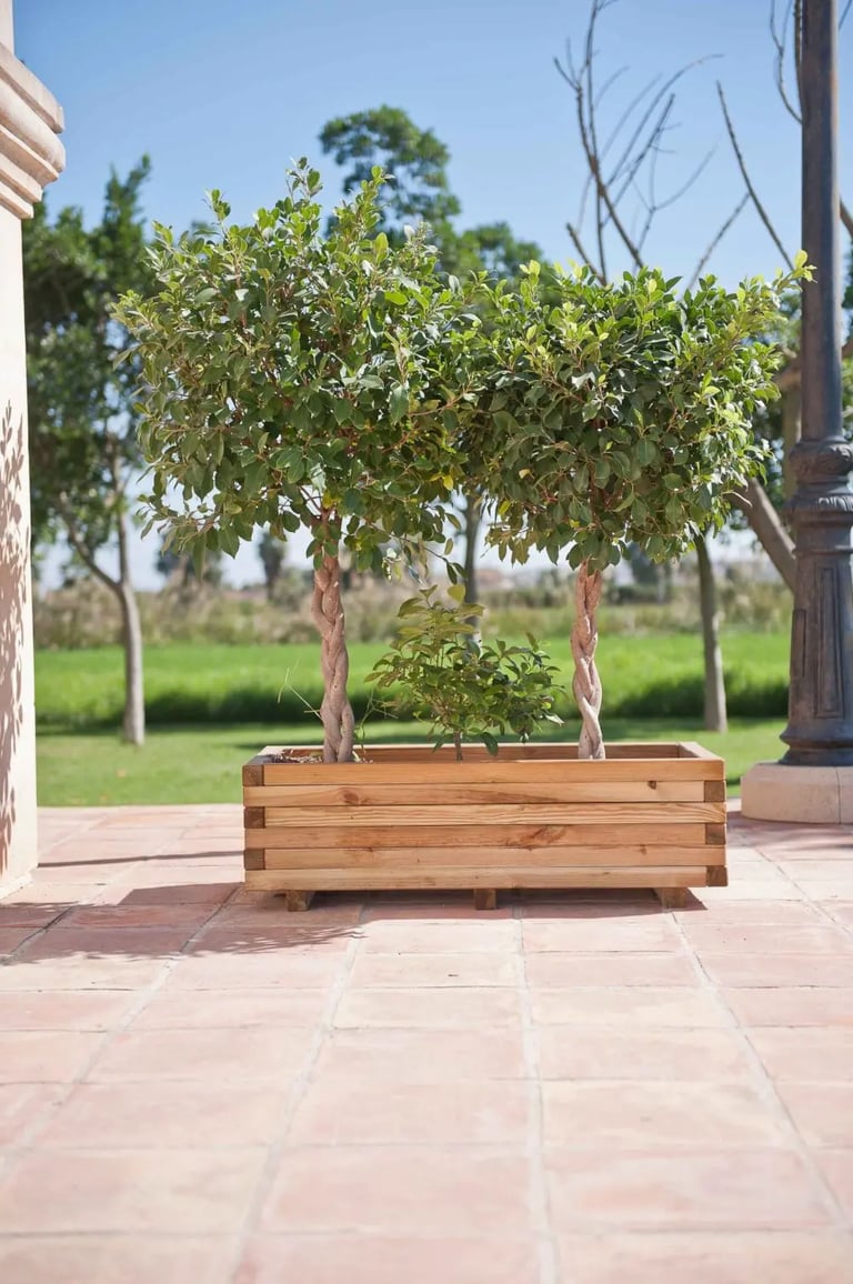 Jardinera rectángular en madera tratada
