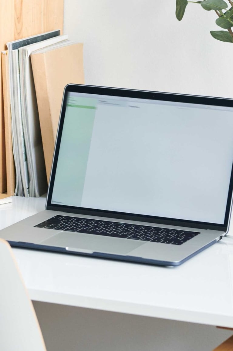 Laptop on a white desk, with houseplants and notebooks around