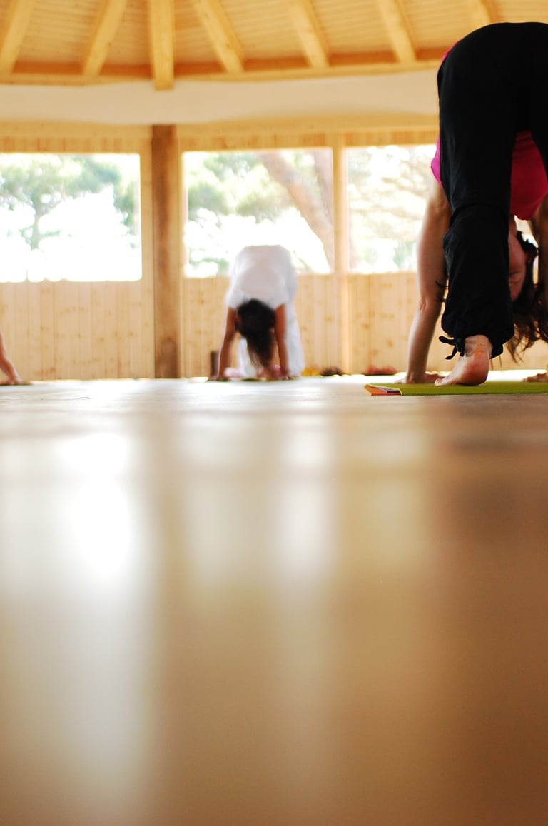 Group yoga class, yogis in downward facing dog.