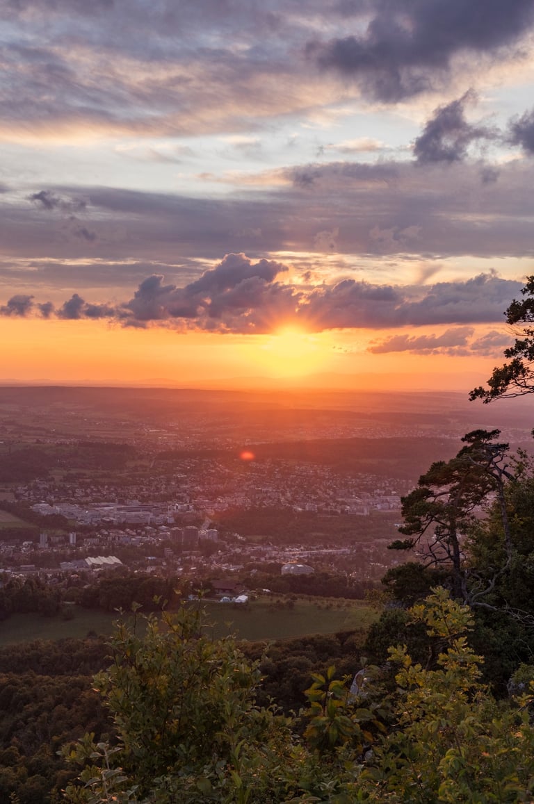 Landschaft Gempen Basel