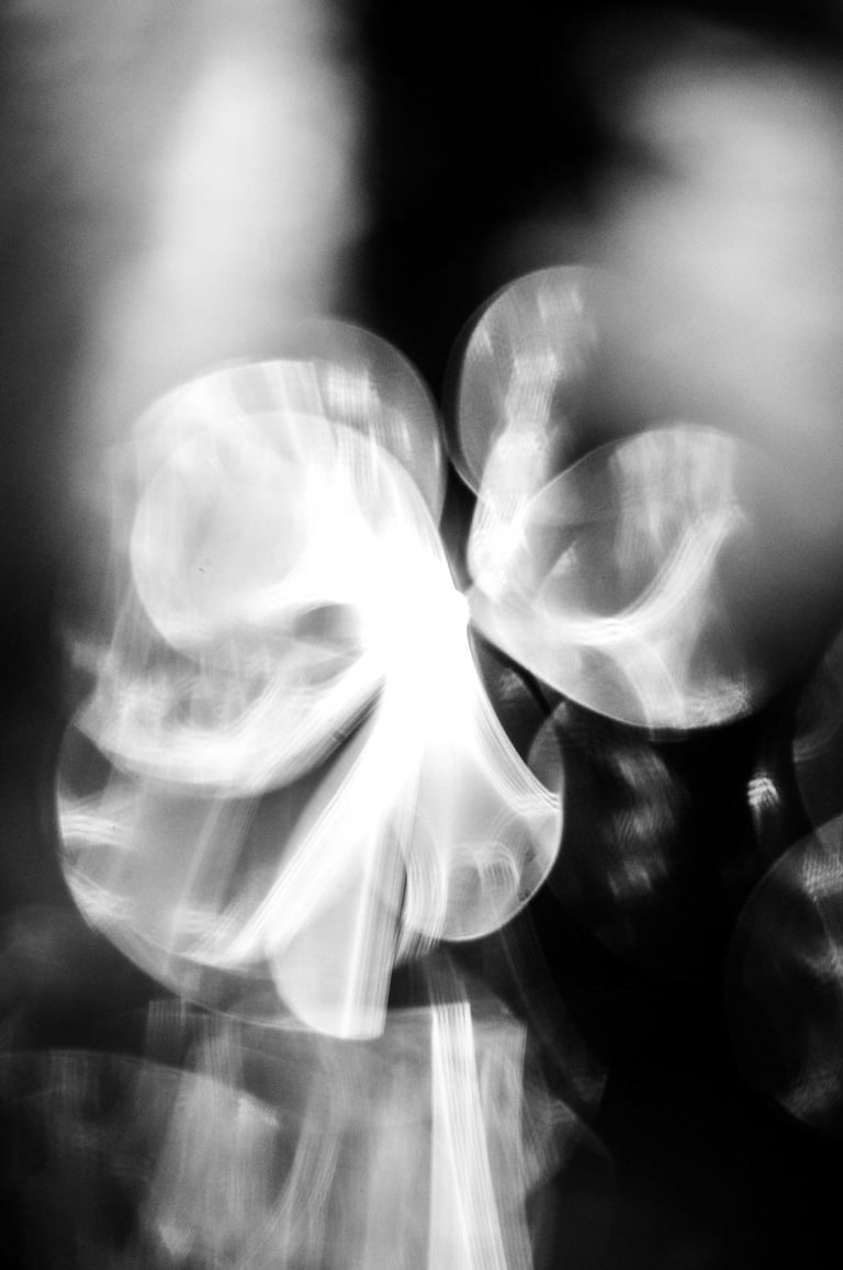 fotografia ficcional en blanco y negro de organismo sutil de luz