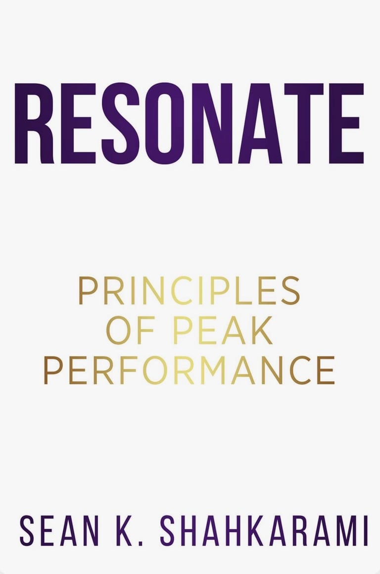 Sean K. Shahkarami consulting and strategy development