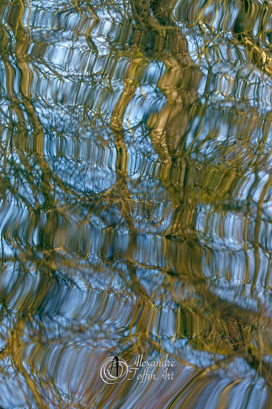 Aller à la page Réflection Matière pour apprécier ces toiles éphémères créées grâce à l'eau. 