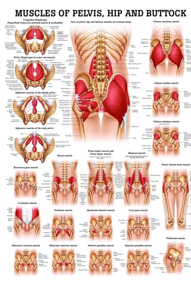 Vetrivel Health center best chiropractic and varamam theraphy 