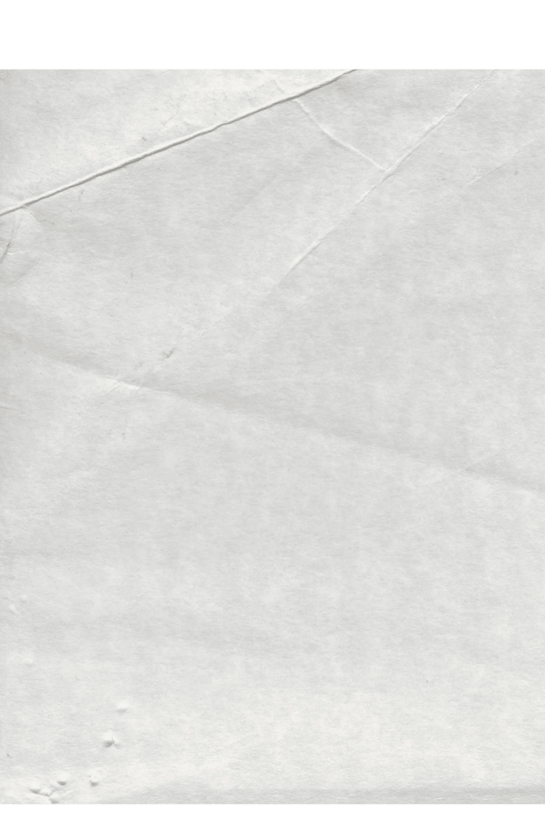 Texture of pale, textured paper with delicate creases and folded document lines.