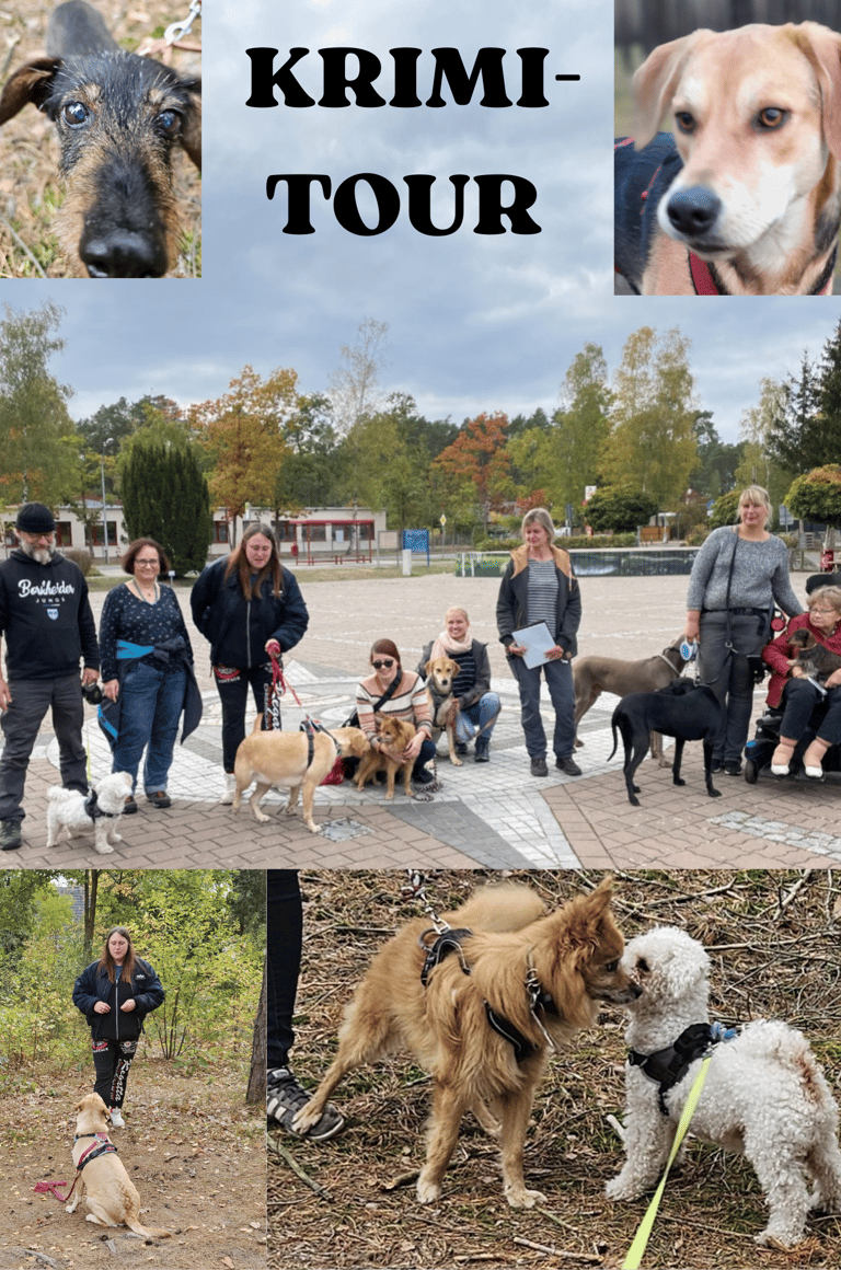 Krimitour mit Hunden: Borkheide, Beelitz, Treuenbrietzen, Potsdam, Michendorf, Kloster Lehnin, Brück