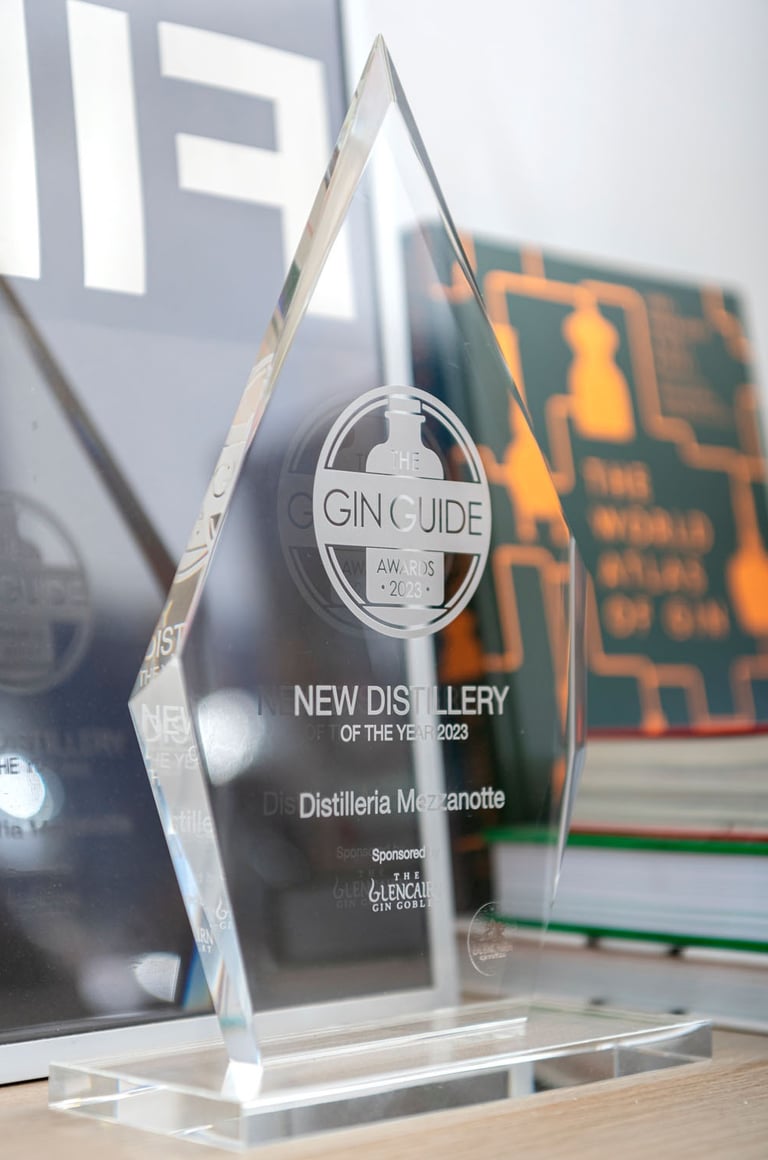 foto di un trofeo in vetro per il titolo di Miglior Distilleria Emergente del Mondo 2023