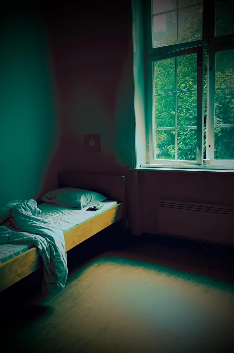 Diakonhjemmet sykehus, Voksenpsykiatrisk Vinderen,Helse omsorgsdepartementet, Statsforvalteren oslo