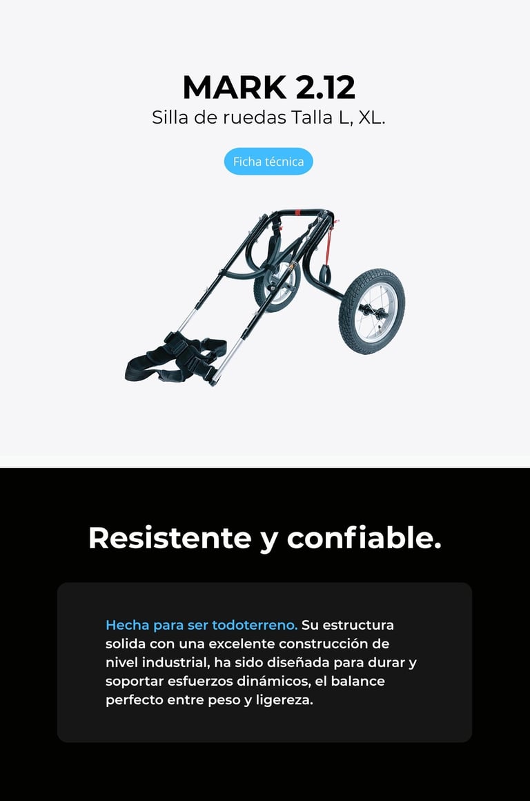 Perro con silla de ruedas ortopédica para perros, NUCLEUMPET Orthopedics en Bogotá Colombia.