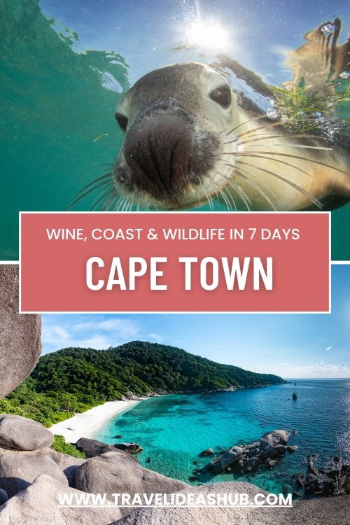 2 pictures in one of a seal lion and a beautiful tropical beach and sea