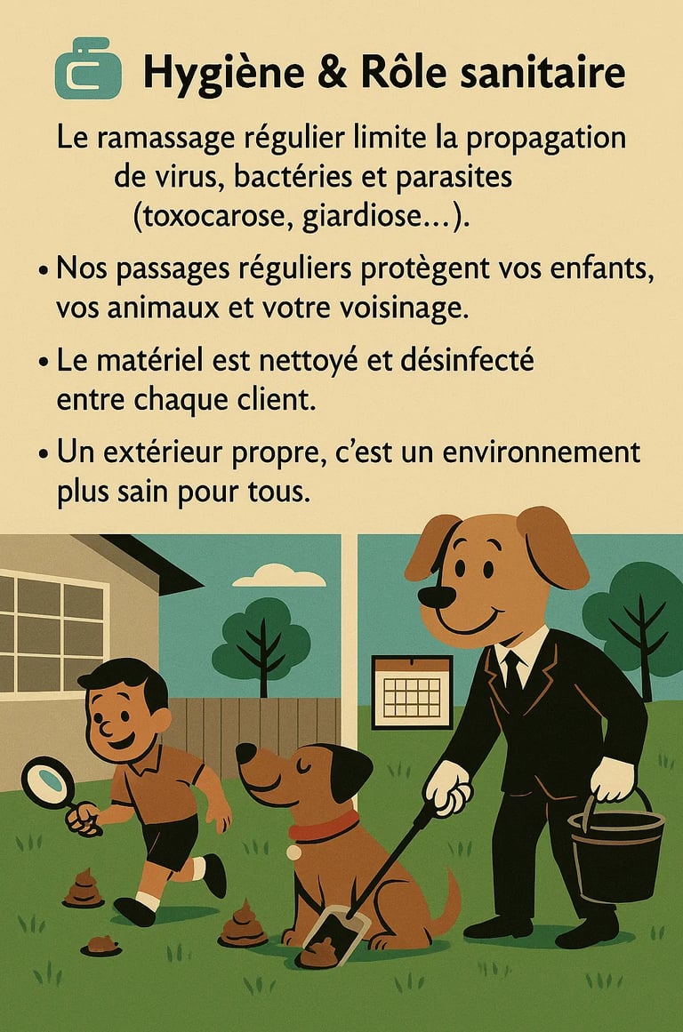 Infographie hygiène et rôle sanitaire – désinfection du matériel et prévention des parasites