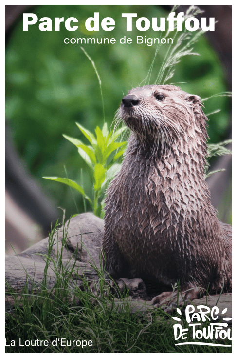 poster withe an otter