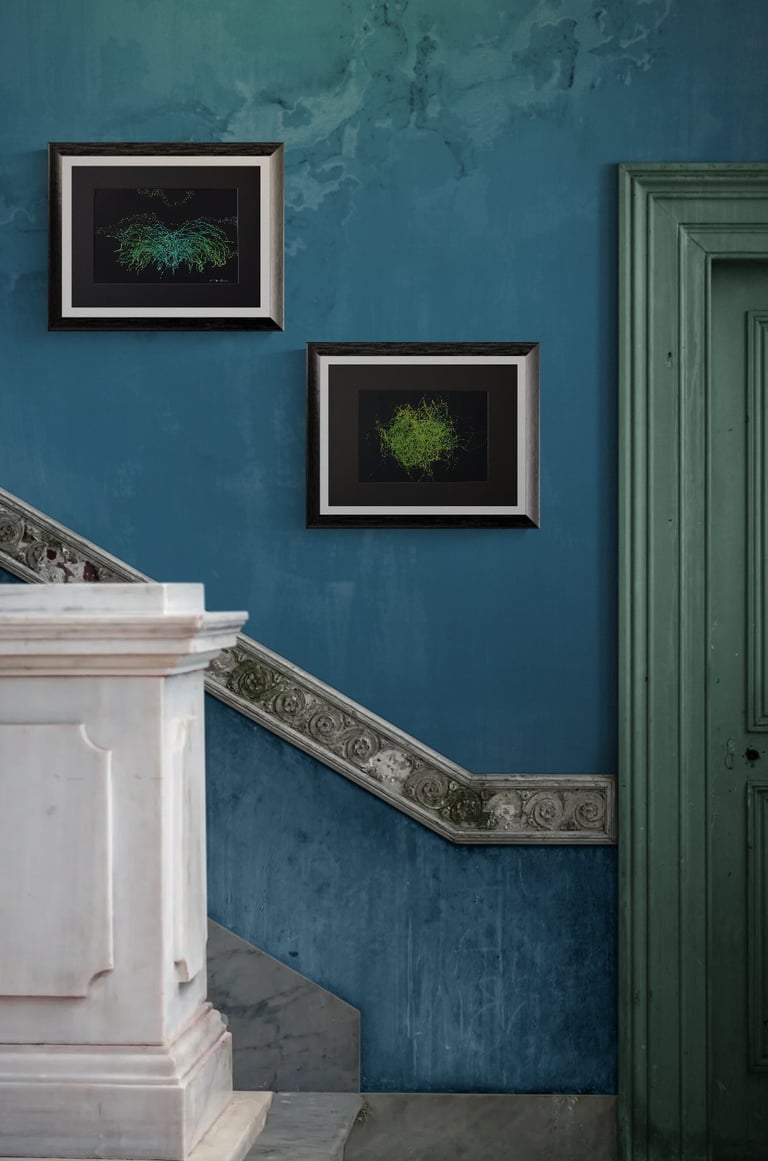 The “Points d’attaches” was created between 2020 and 2021. This is the very first collection in whic