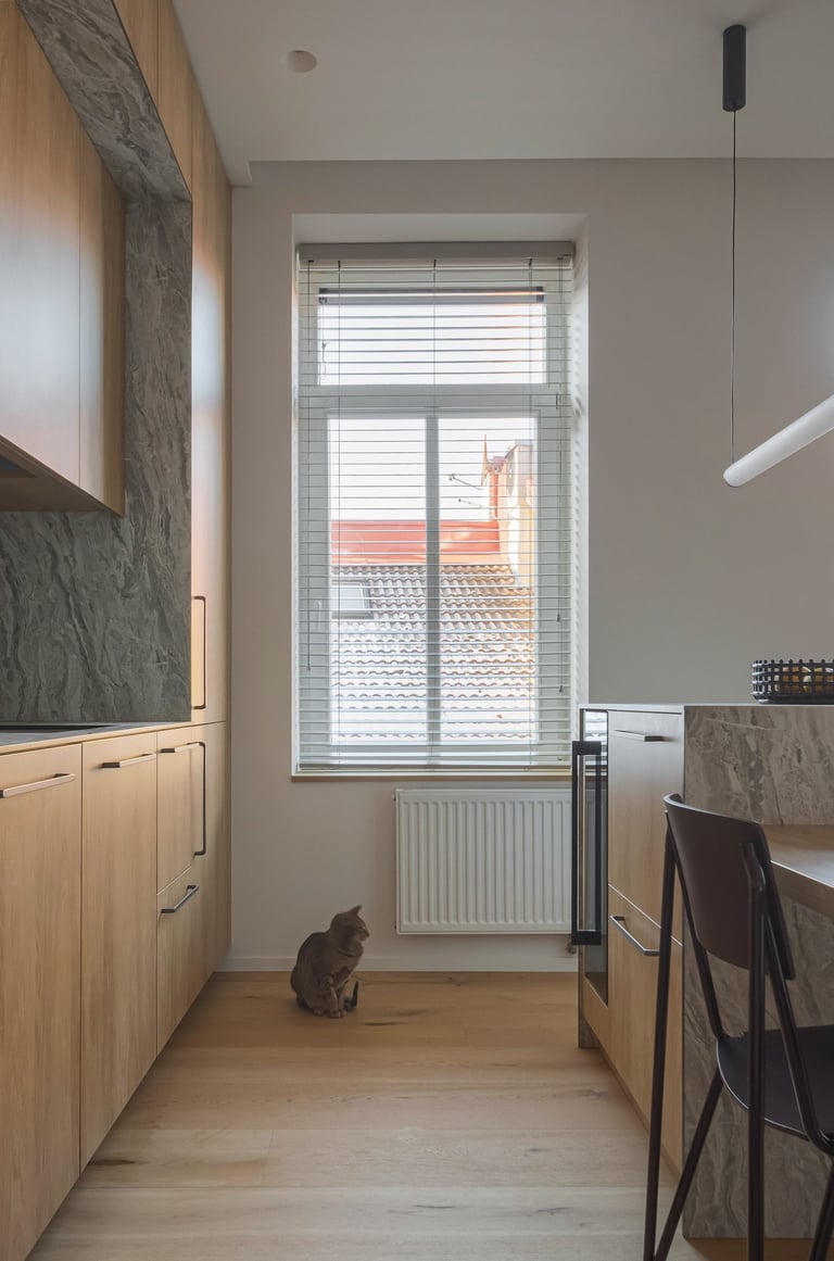 Virtuvės projektas Užupyje