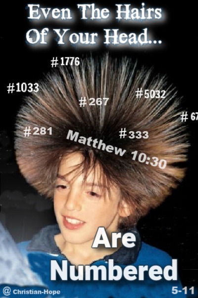 Even The Hairs Of Your Head Are Numbered