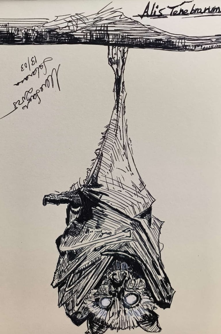 Murciélago. Realizado en tinta. Arte Sancho