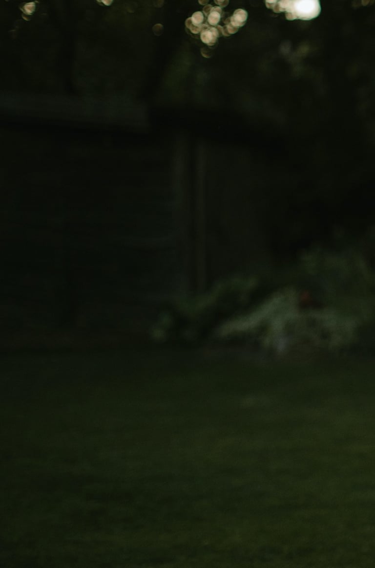 labai tamsios žalios spalvos fonas