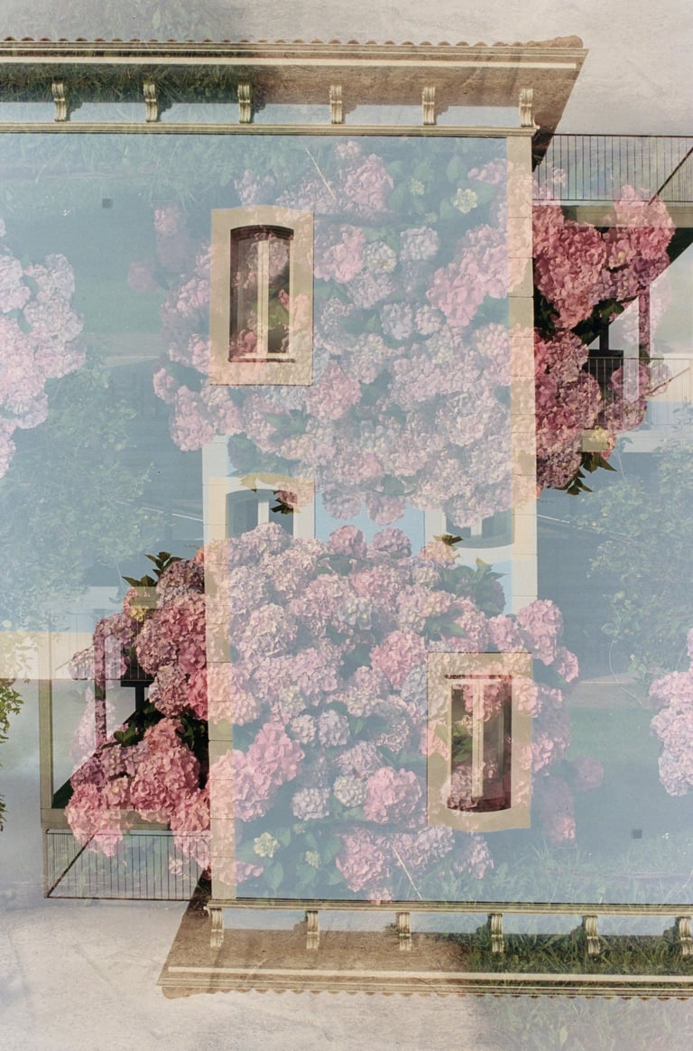 Double exposure photography of pink hydrangea bushes blooming against a classic European villa facade.